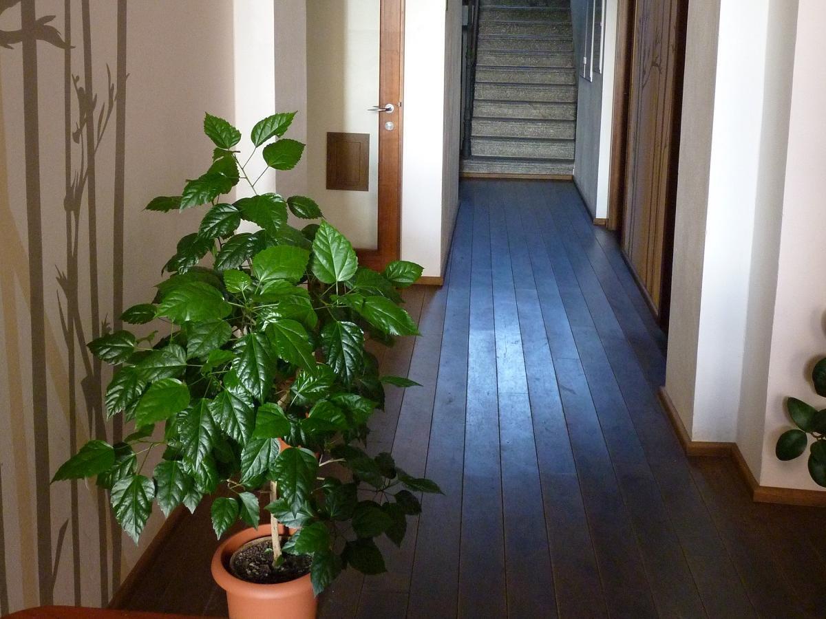 Hotel Art Pisek  Bagian luar foto