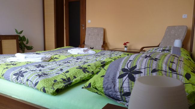 Hotel Art Pisek  Ruang foto